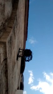 IMG_20160721_194640414 