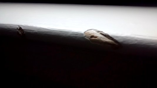 IMG_20160610_164329259 