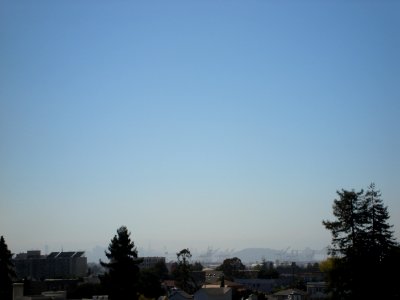 dsc04655.jpg 