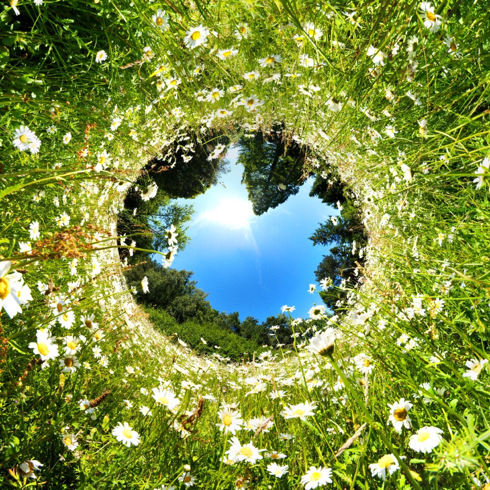 Agriculture landscape little planet