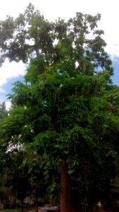 IMG_20160721_151042396 