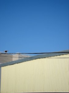 dsc04687.jpg 