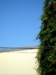 dsc04688.jpg 
