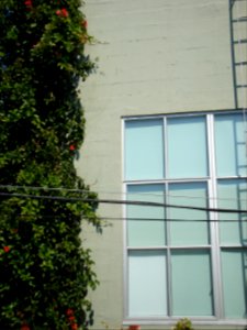 dsc04691.jpg 
