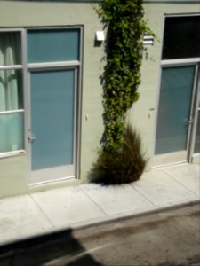 dsc04712.jpg 