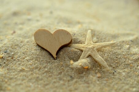 Beach love vacations