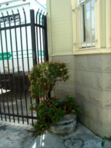 dsc04759.jpg 