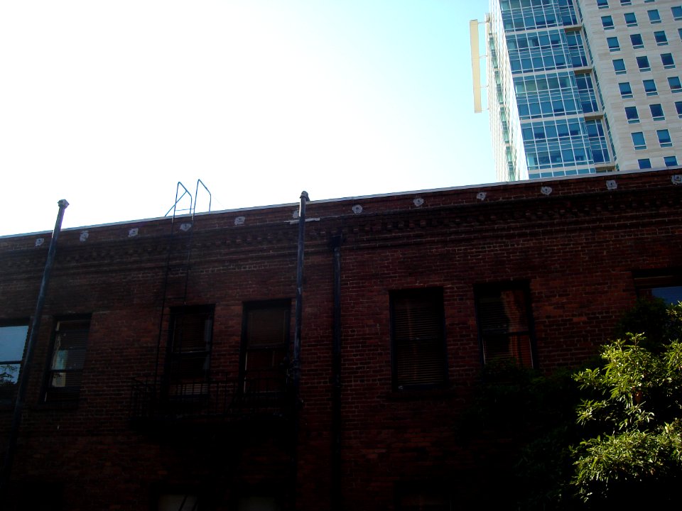 dsc04791.jpg 