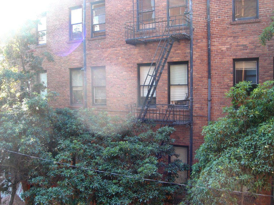 dsc04798.jpg 