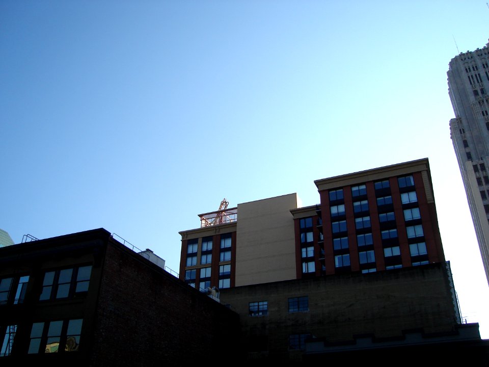dsc04841.jpg 
