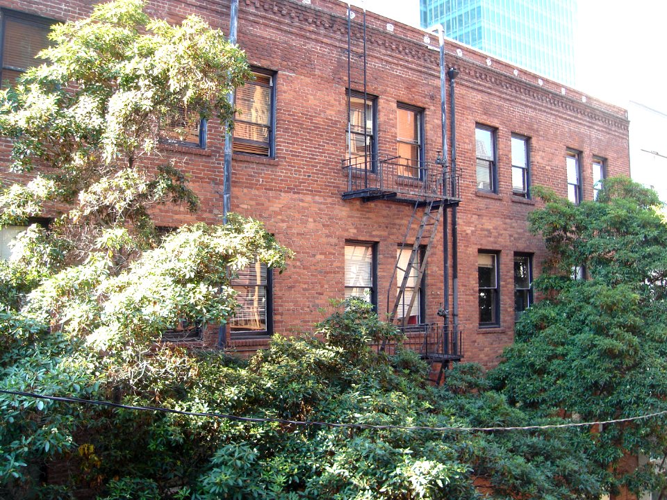 dsc04852.jpg 