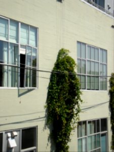 dsc04685.jpg 