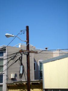 dsc04686.jpg 