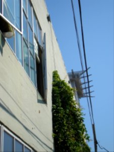 dsc04723.jpg 