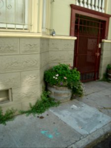 dsc04761.jpg 