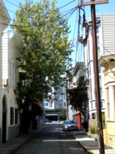 dsc04755.jpg 