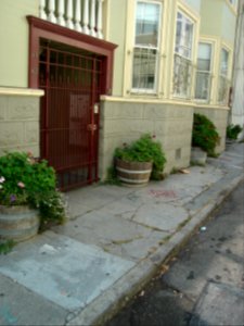 dsc04762.jpg 