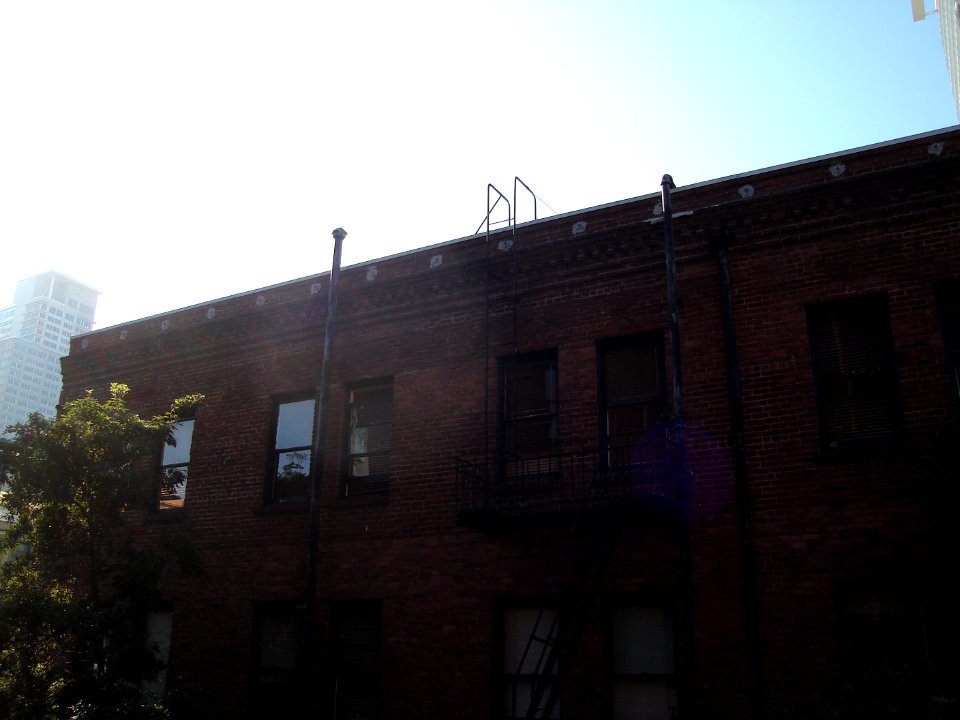 dsc04796.jpg 