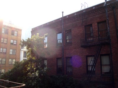 dsc04800.jpg 