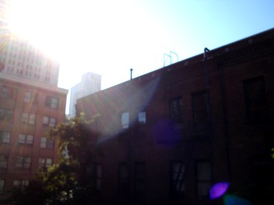 dsc04826.jpg 