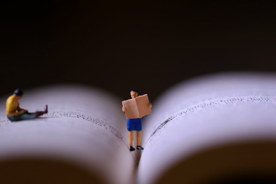 Book miniature reading