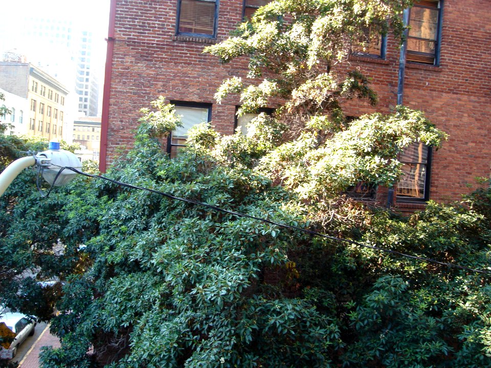 dsc04850.jpg 