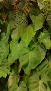 IMG_20160721_184115357 
