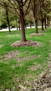 IMG_20180513_125840570 