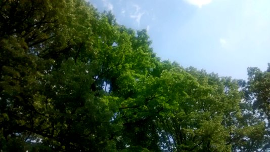 IMG_20180515_165537103 