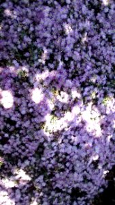 IMG_20180528_132226878 