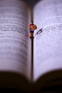 Book miniature reading
