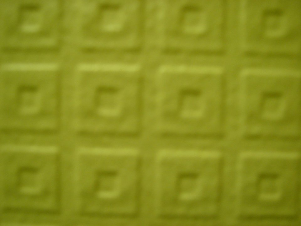 dsc04901.jpg 
