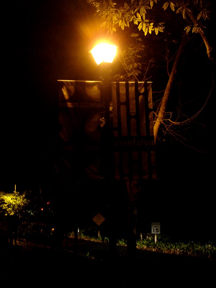 dsc04925.jpg 