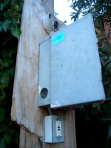 DSC04962.JPG 