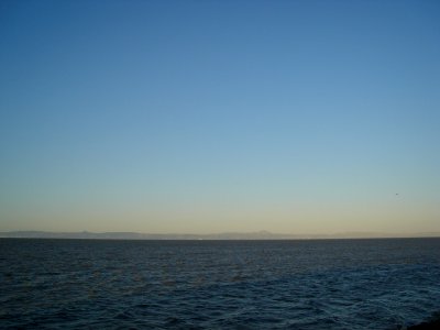 DSC05003.JPG 