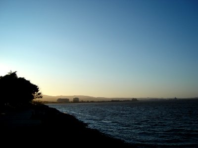 DSC05005.JPG 