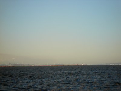 DSC05011.JPG 