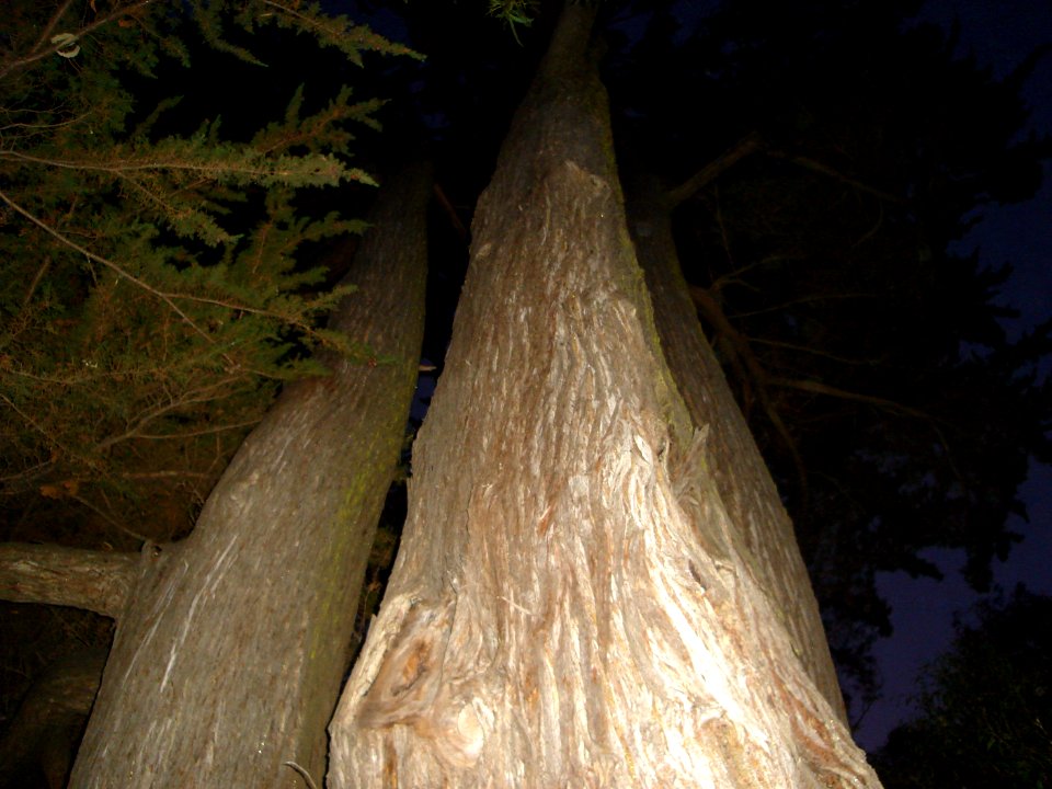 DSC05022.JPG 