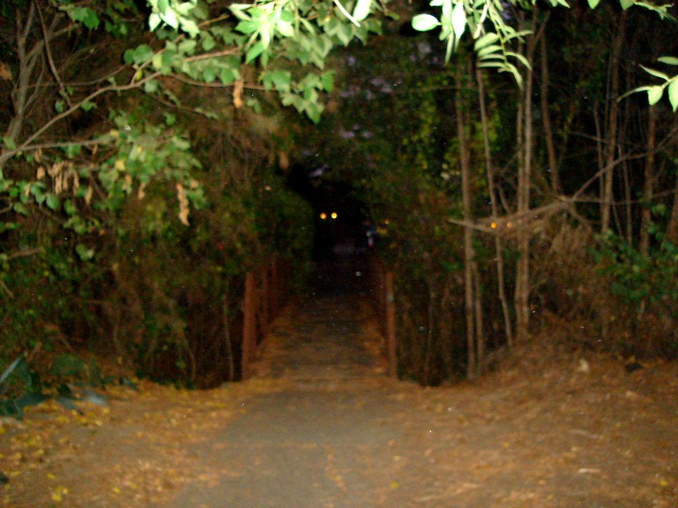 DSC05021.JPG 
