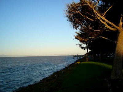 DSC05004.JPG 