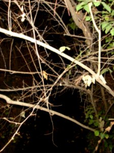 DSC05020.JPG 