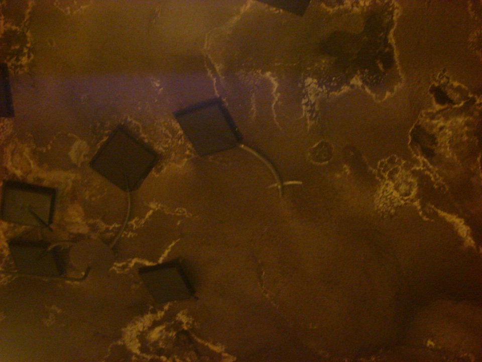 dsc05125.jpg 