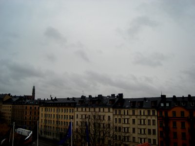 dsc05137.jpg 