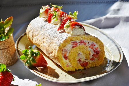 Bisquitrolle cream cake