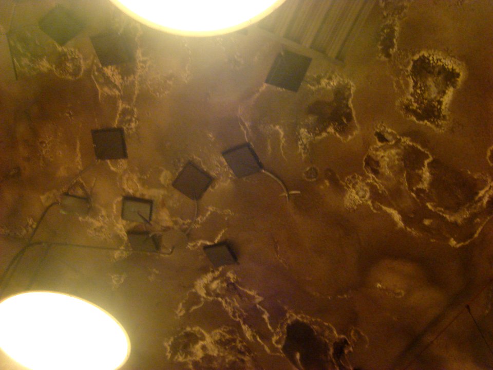 dsc05126.jpg 