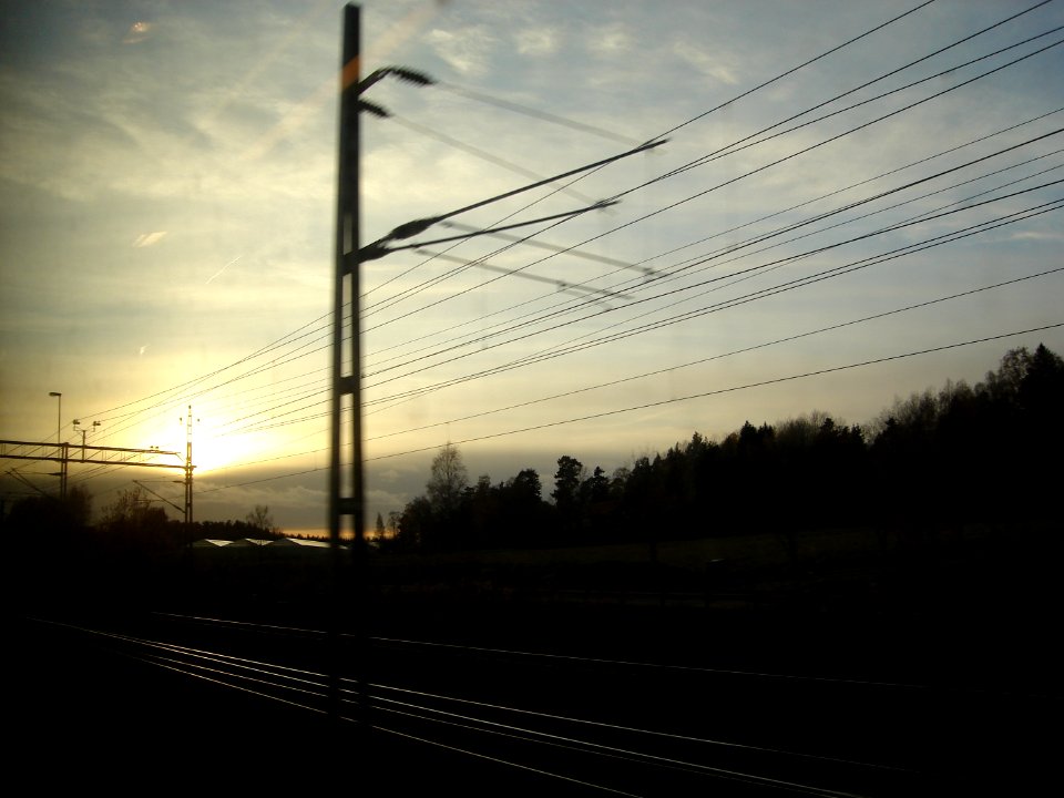 dsc05230.jpg 
