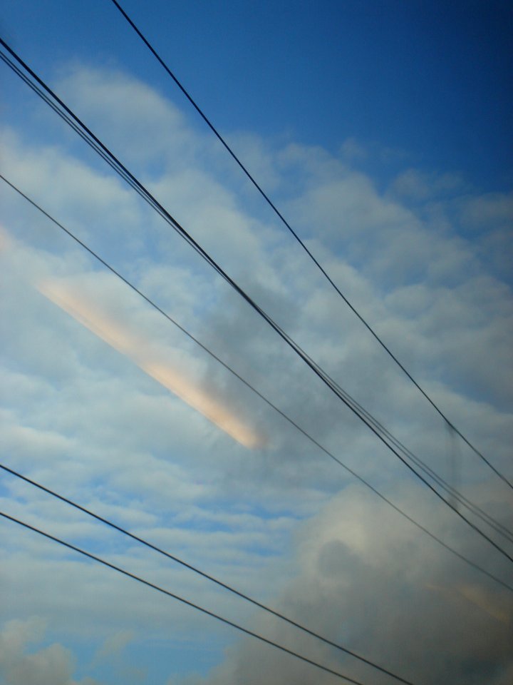 dsc05324.jpg 