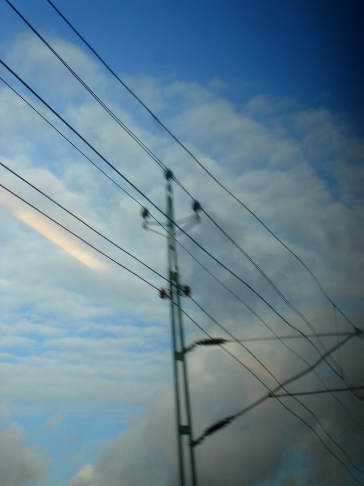 dsc05328.jpg 