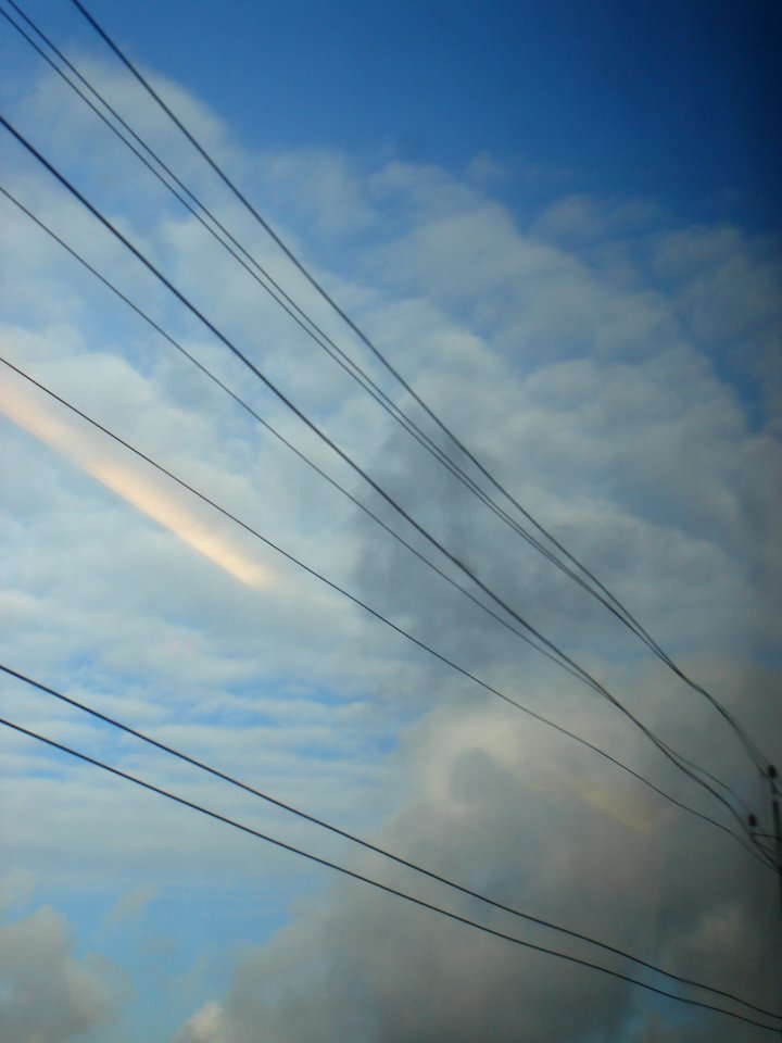 dsc05327.jpg 