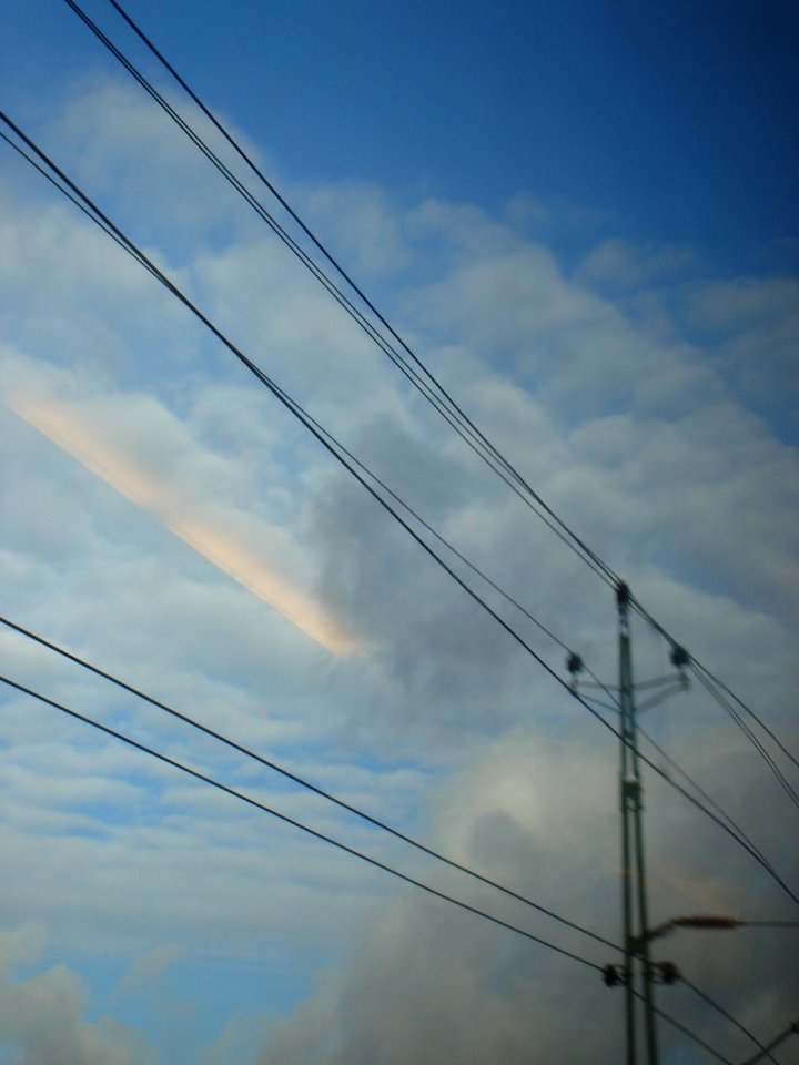 dsc05325.jpg 